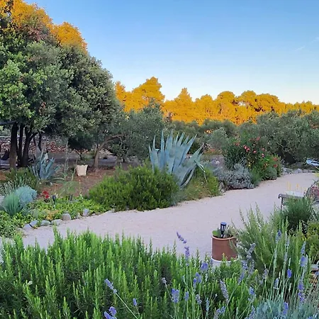 Oxa Dreamland Vila Stari Grad (Hvar)